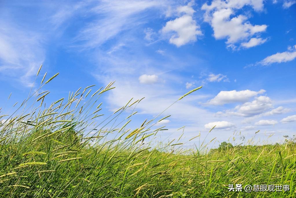 自然现象的古诗词,学生必背古诗词41到60句