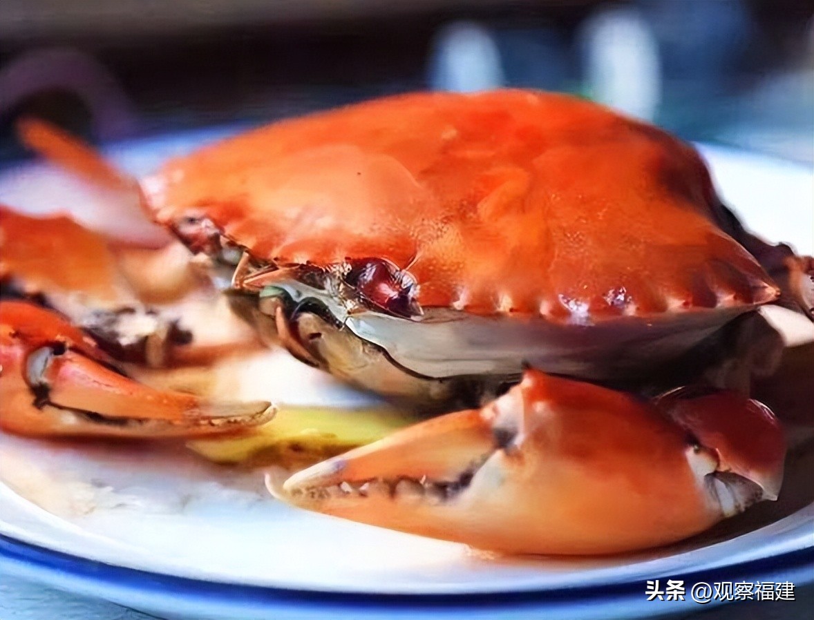诏安秋天吃什么海鲜,福建各种海鲜图片大全