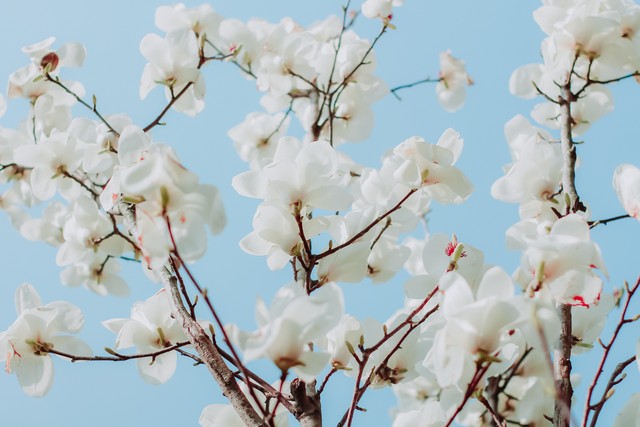 生命存在的四个条件,生命的真相就是返本归真