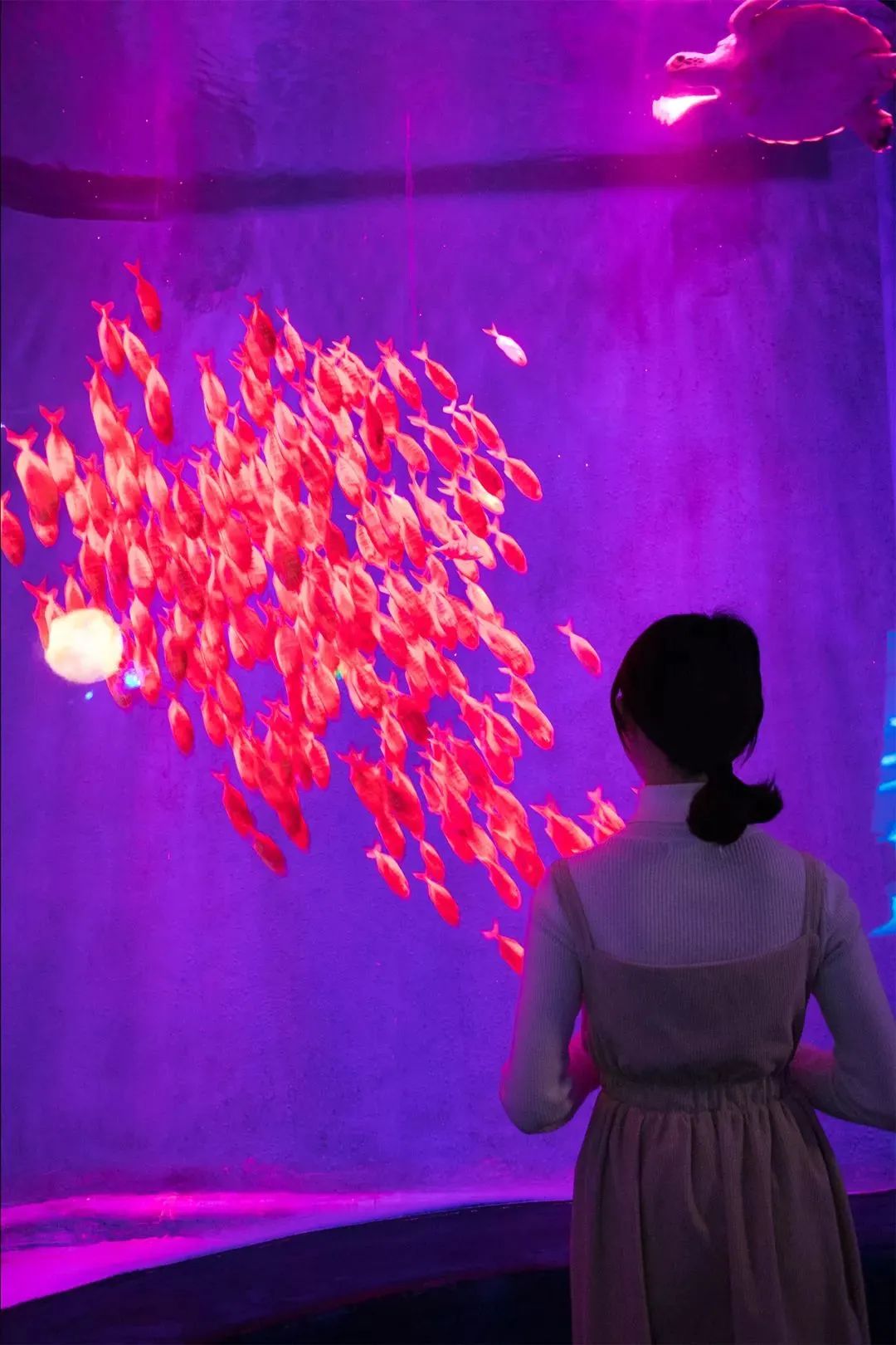 深圳小众沙滩,深圳小众海边