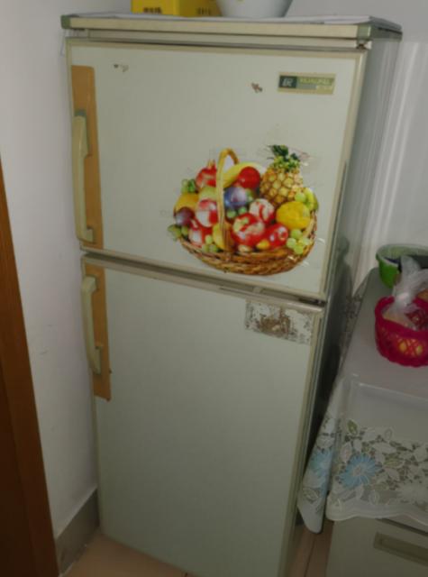 高端国货小家电品牌,这几款国货强品值得推荐