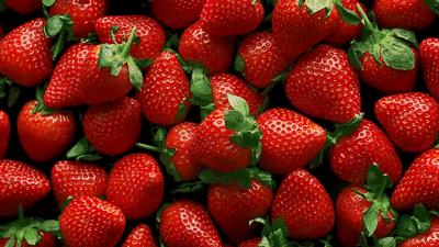 黄桃罐头能缓解普通感冒吗,吃黄桃罐头会加重病情吗