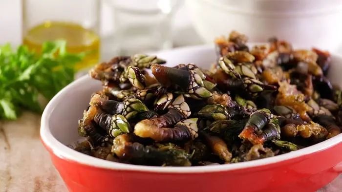 在浙江吃藤壶,还以为吞了个鬼手