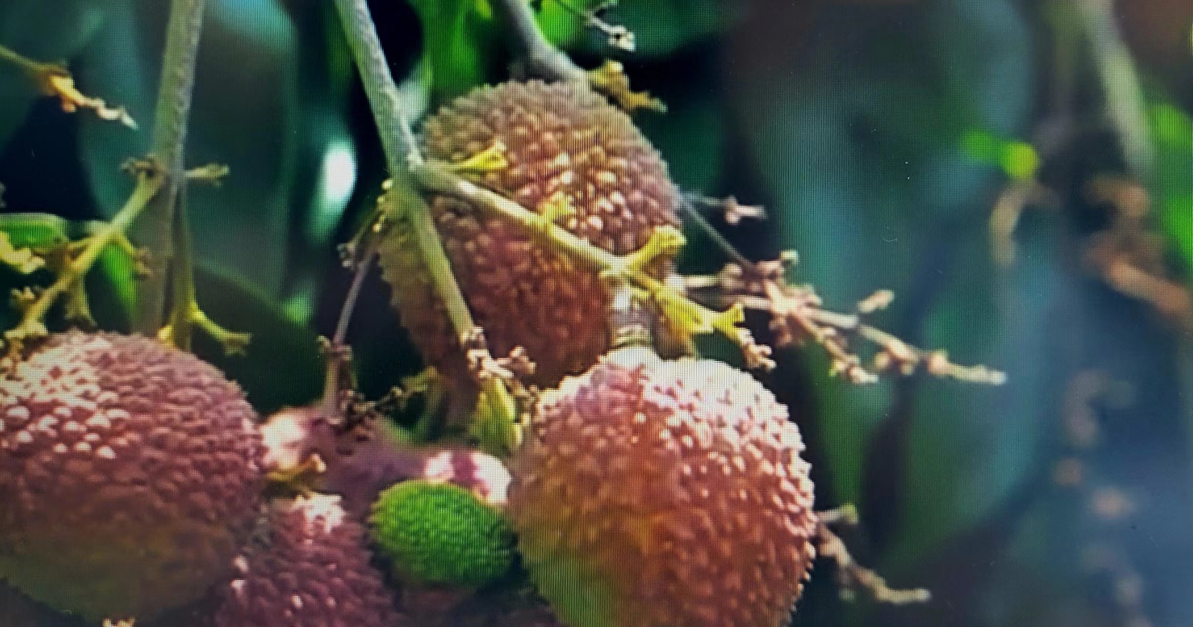 周末邀朋友小聚休闲享受周末,周末三五好友小聚喝茶品美味