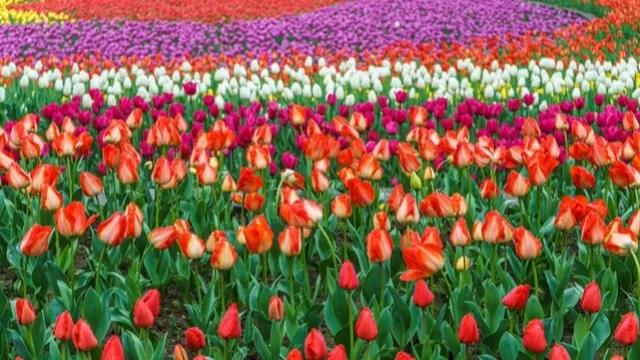 发生水灾时处于经期的女性该如何做好保护措施