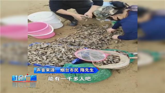 鲜活泸沽虾,泸沽虾淡水