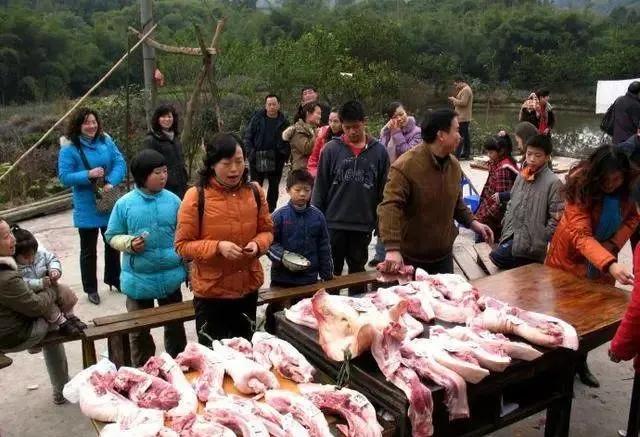 杀年猪的经典文章,杀年猪散文诗