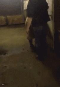 动物交,配时间表,最短0.3秒,最长的竟然是……