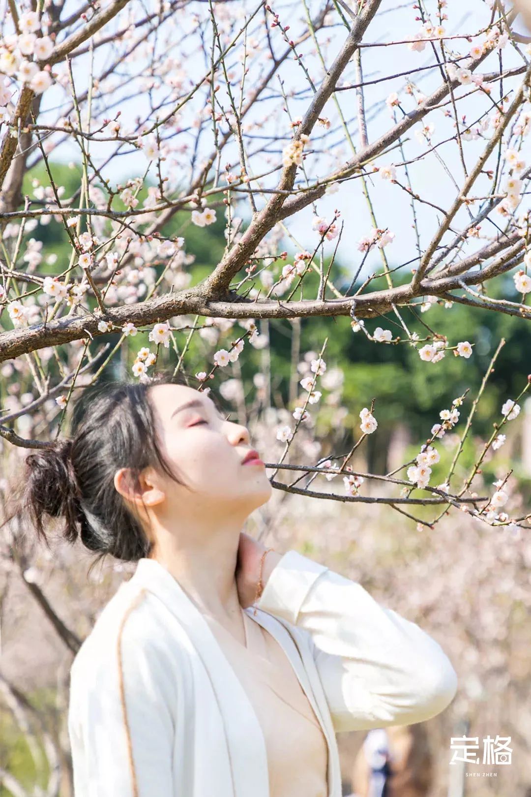 深圳3月14个赏花胜地全部免费,深圳清明节踏青赏花好去处