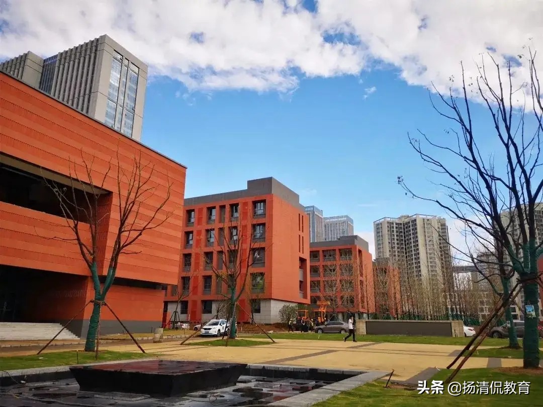 合肥小升初有哪些学校全省招生,合肥小升初所有学校排名一览表