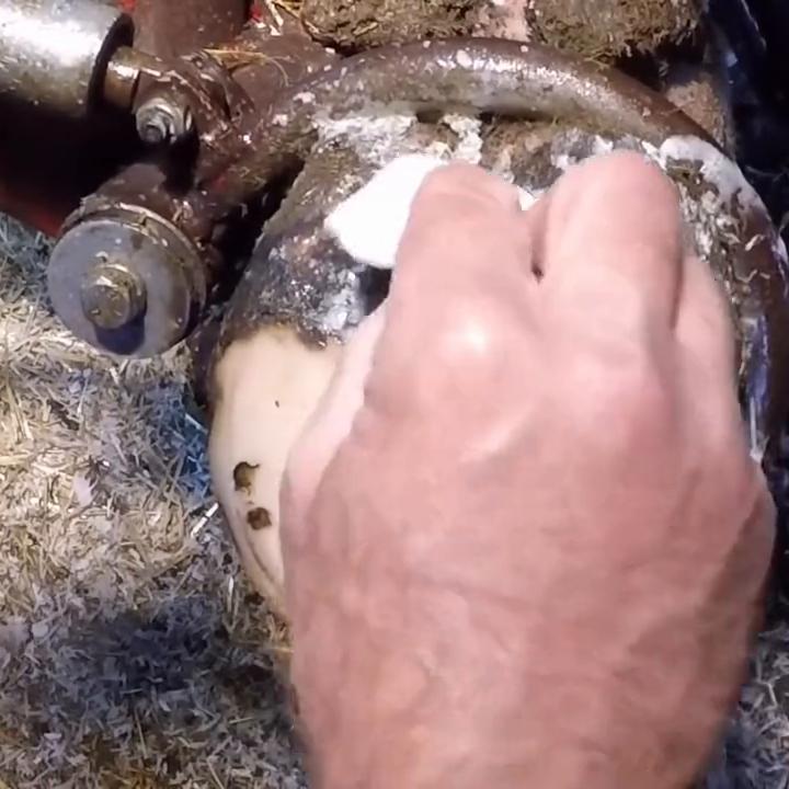 神魔游戏开启,万族争霸,血战神魔!#宝藏小说