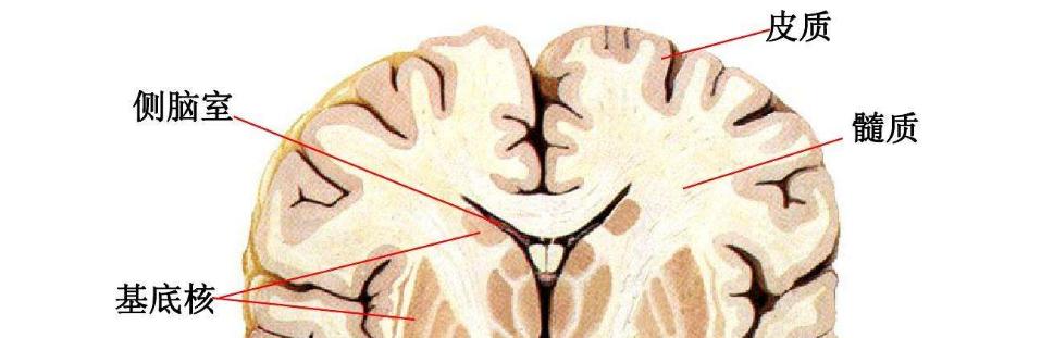 总是半途而废试试这三个方法,三种方法让你告别半途而废的习惯