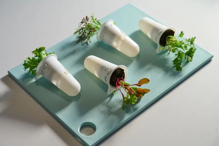 core77获奖设计作品,2024if设计奖获奖作品