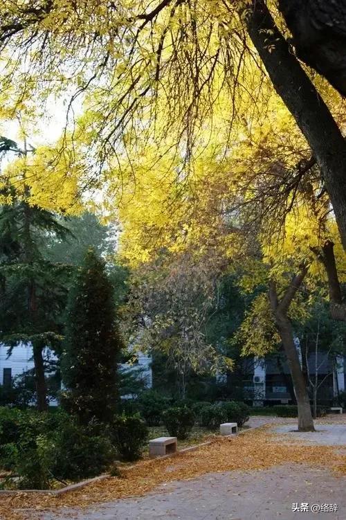 少年的你会不会出现在大学,少年的你如何开学