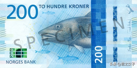 挪威克朗200,200挪威克朗背面