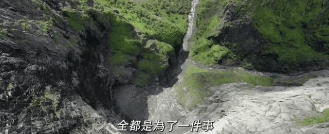 碟中谍7阿汤哥有多拼,碟中谍7阿汤哥上演惊险飞行