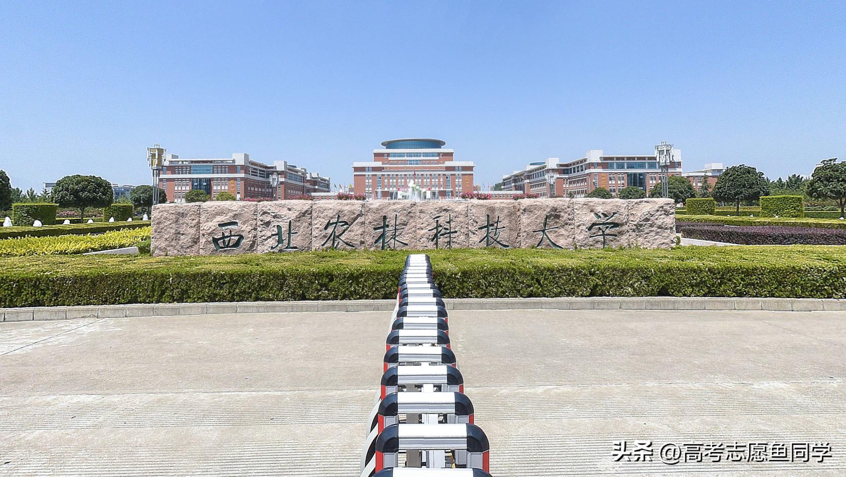 面积最大的农林类大学,全国农林类大学最新排名一览表