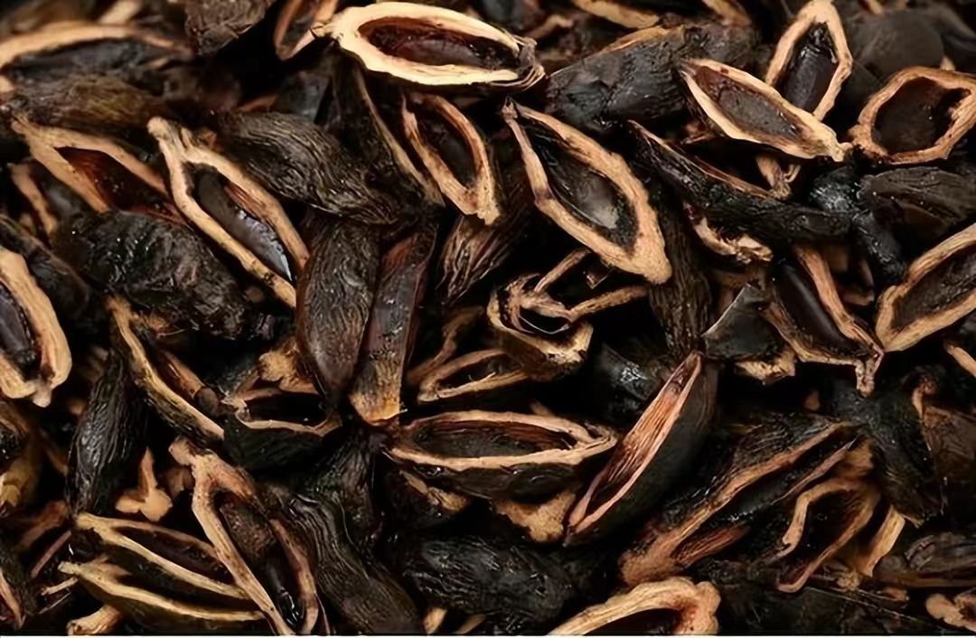 槟榔加烟的危害性多大,一颗槟榔的危害等于多少烟