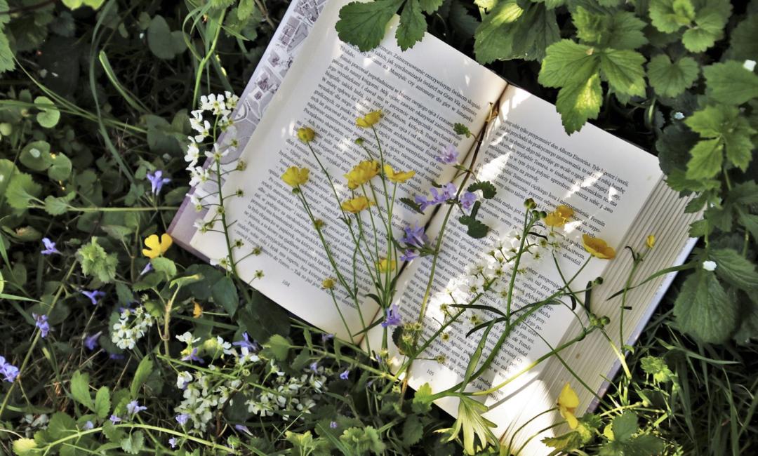 学会自如而清晰的当众演讲,如何训练自己当众演讲