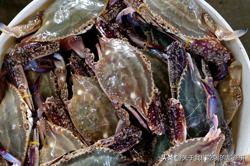 保存螃蟹怎么蒸熟冻好,活螃蟹直接放冰箱冷冻后还能吃吗