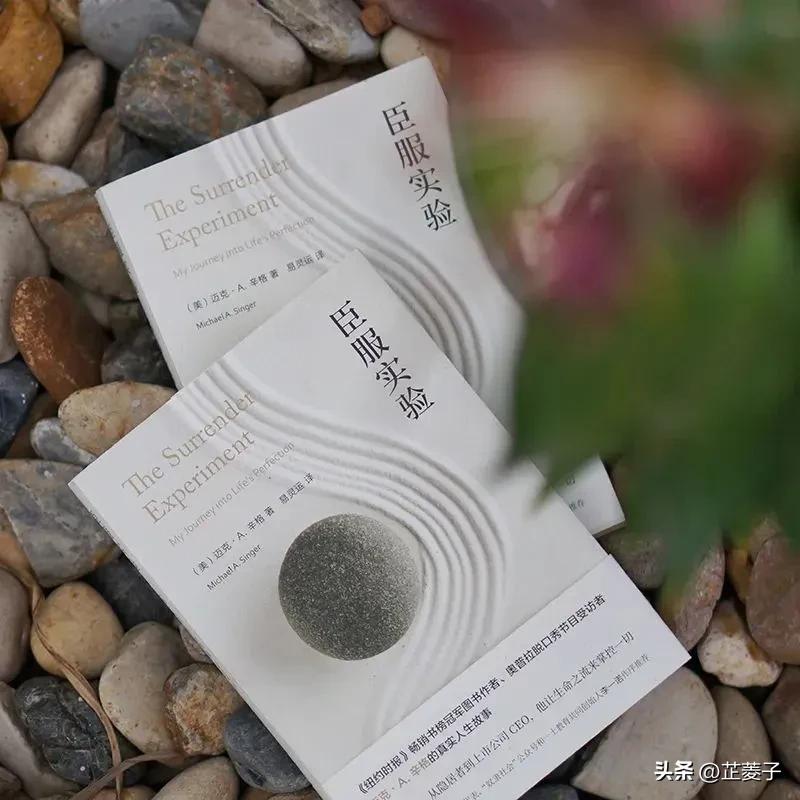 书单推荐5本书提升眼界和格局,50本改变人生的书籍推荐