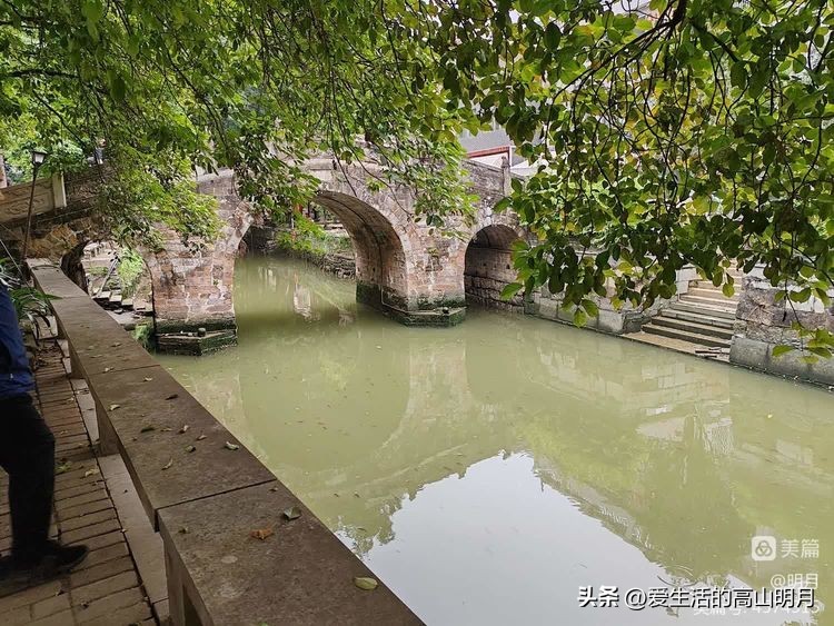佛山至香港一日游,广州佛山一日游遛娃的好地方