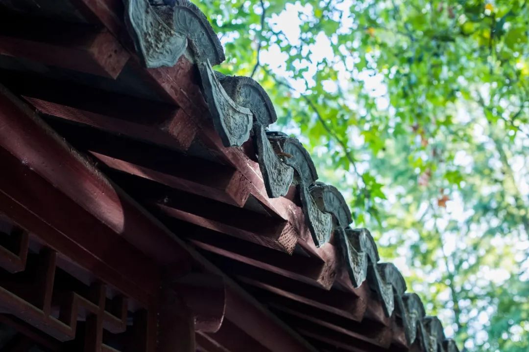 100条对联知识悟透后写对联不再难,背下这篇课文用英文怎么说