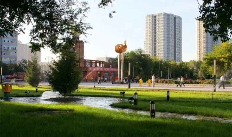 *疆新**大学和石河子大学怎么样？近年内地报考的考生，在逐年增多