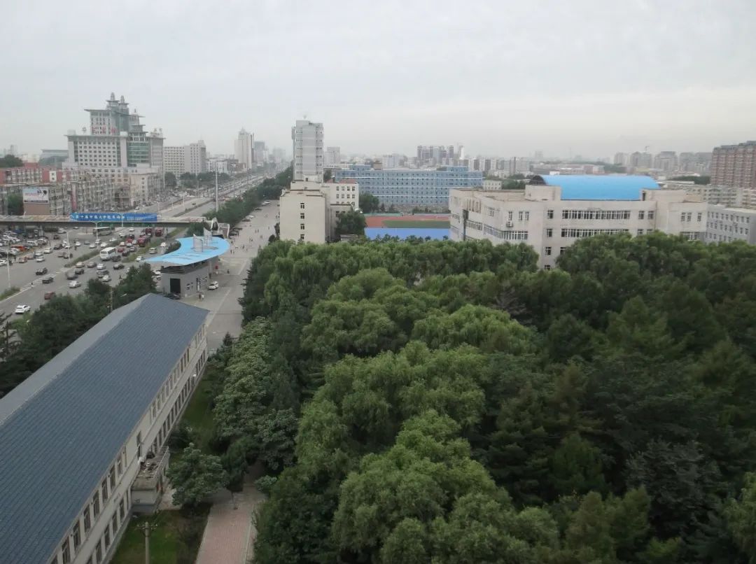 长春理工大学毕业生就业质量,长春工业大学毕业生就业情况