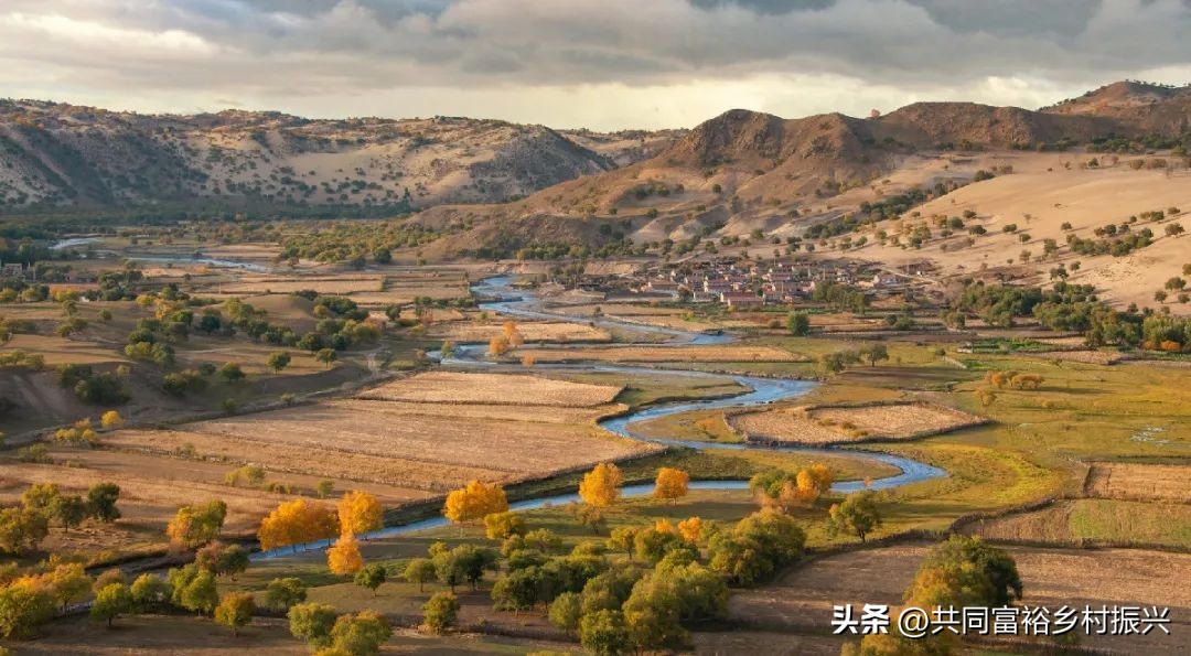 2023年全国乡村振兴优秀案例,乡村振兴典型案例5000字材料