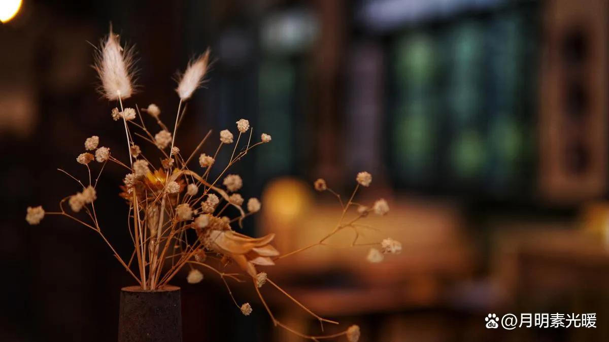 学会赚钱的100个知识,真正赚钱的知识