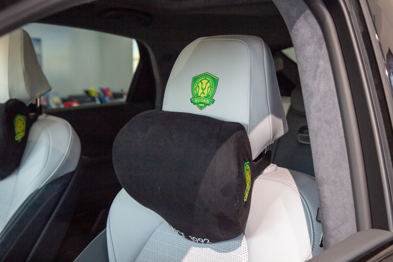 【实拍极狐阿尔法S国安版：经典黄绿配色，个性化定制销售】