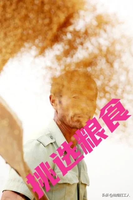 交过公粮的农民何时领到养老金,交过公粮的农民怎么领取养老金