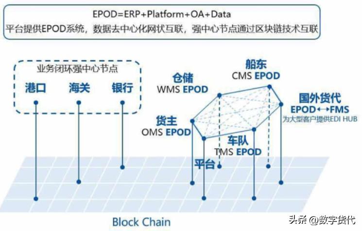 小型货代公司的系统,小货代的海运费