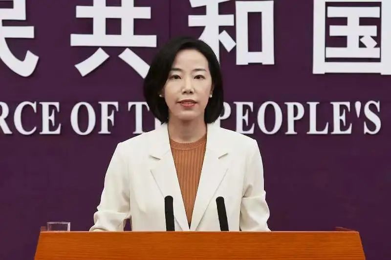 商务部2019年7月4日新闻发布会,商务部召开例行发布会全文