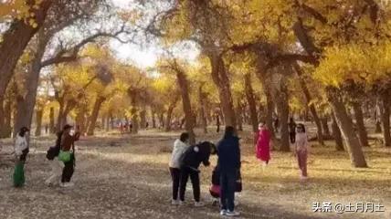 上班时间小职员被老板抓,上班时间被老板抓到玩游戏怎么办