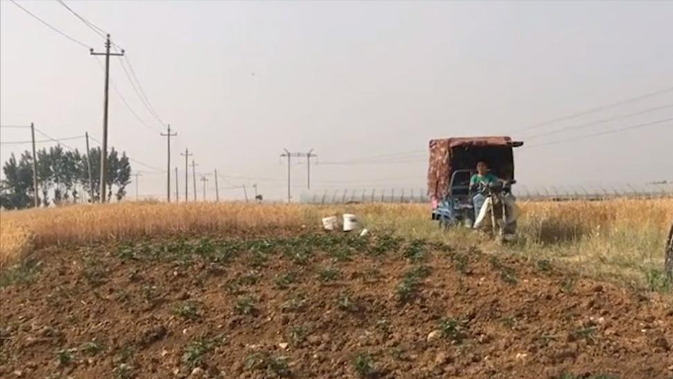 小孩爸爸被关在小黑屋,父亲把儿子关进小黑屋电视剧