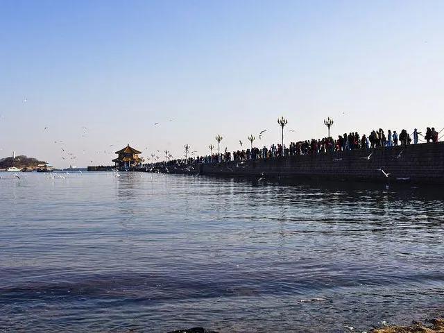 去青岛旅游的感受和收获,在青岛旅游的真实感受