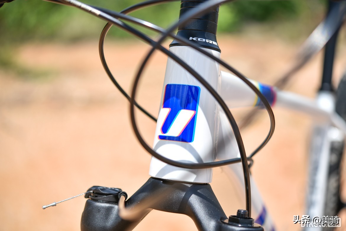 双盘24速山地车推荐,双盘24速碳纤维山地车