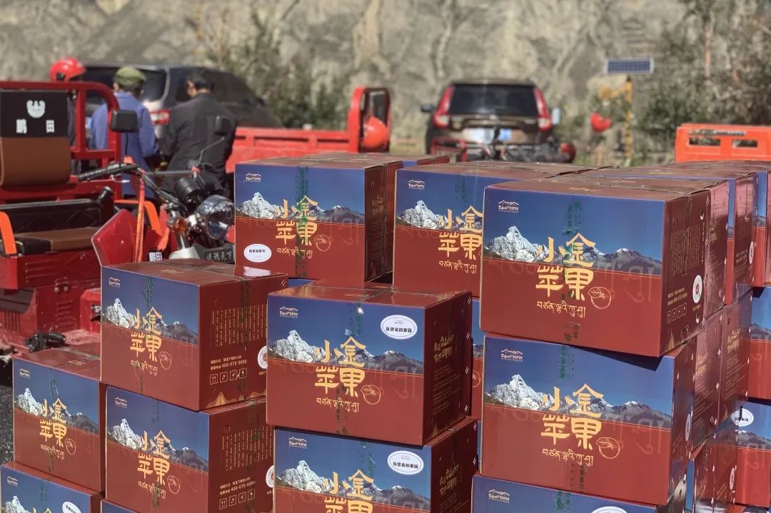 途远集团ceo石绍东,途远石绍东