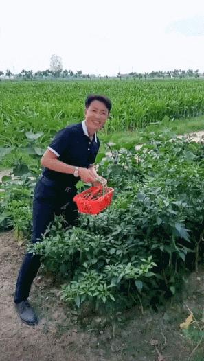 72岁老太太跨越1700公里去见网友,72岁老太跨越1700公里见男网红