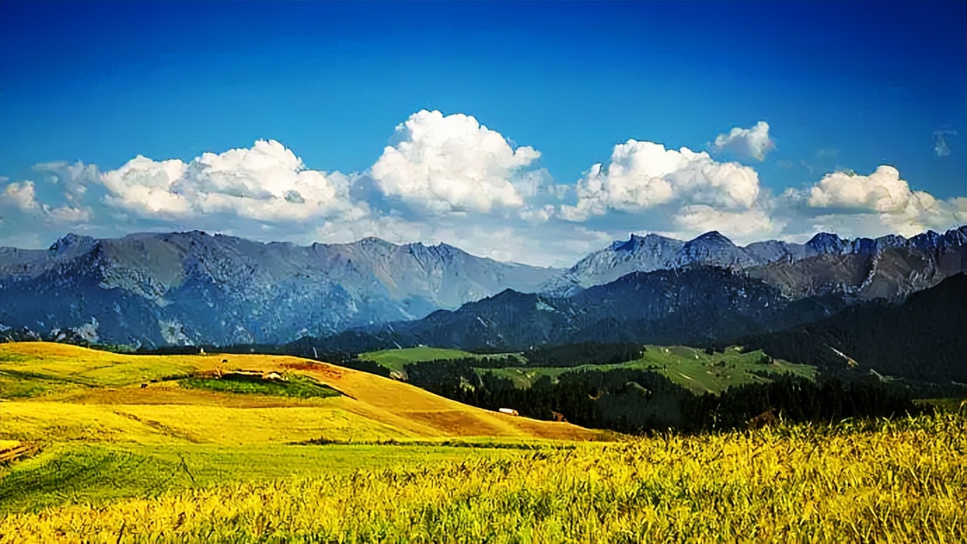 五家渠旅游路线,五家渠攻略