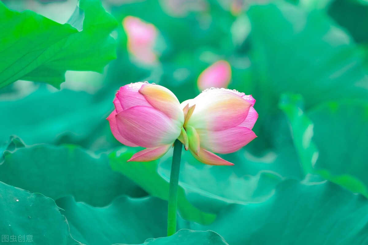 十六首诗词中的更漏，用法百变，是婉约诗词中的最佳道具