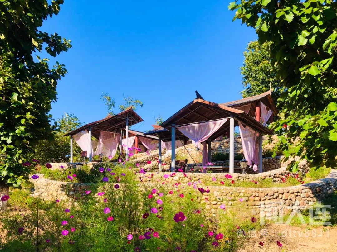 没想到附近也有这么美的风景,美丽的风景近郊旅游的好去处