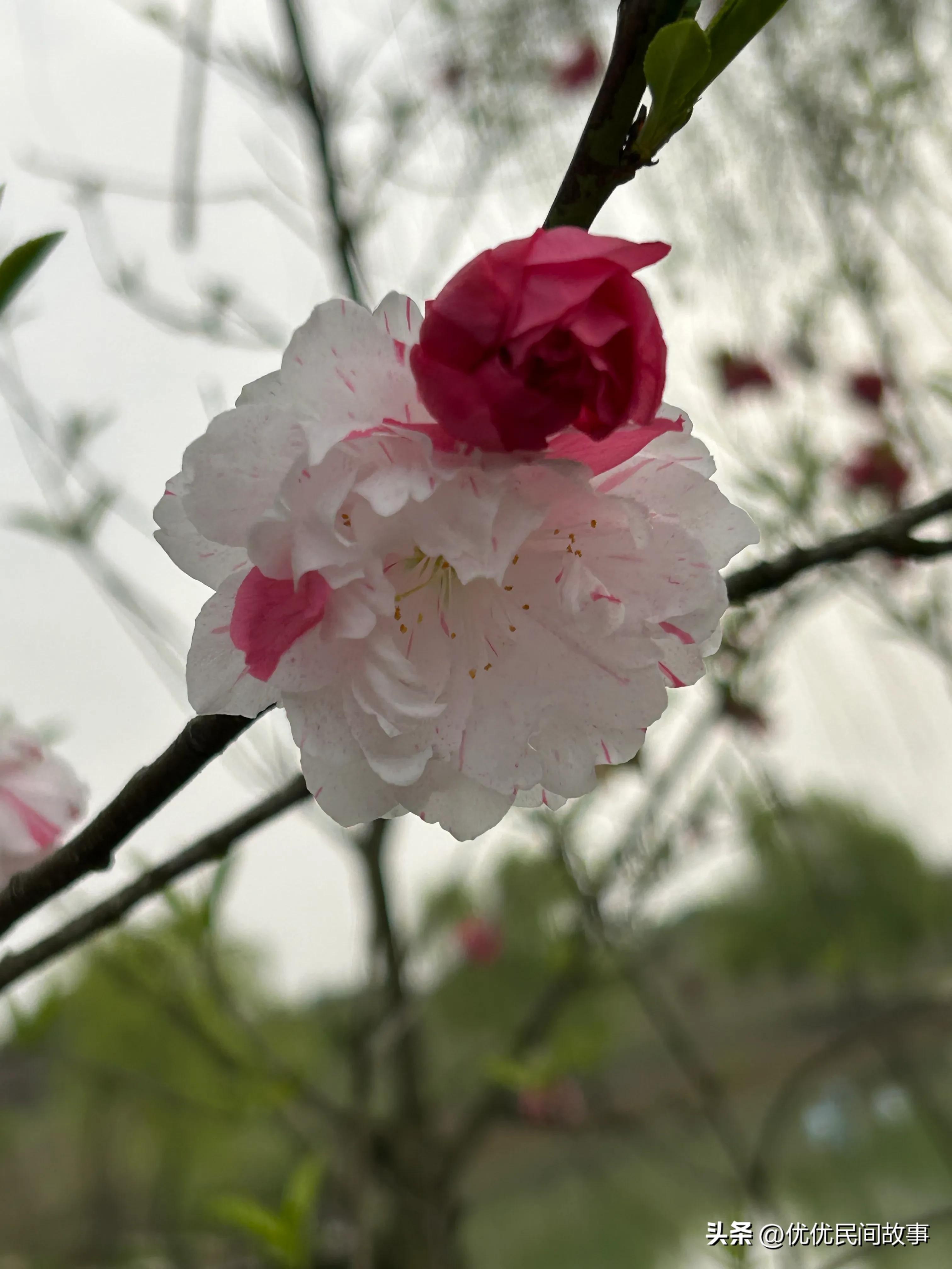 女子被男同事欺负怎么办,女子遭男同事欺负