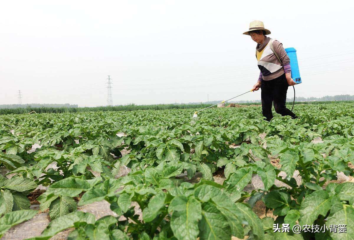 农作物除病害剂,农业害虫防治剂