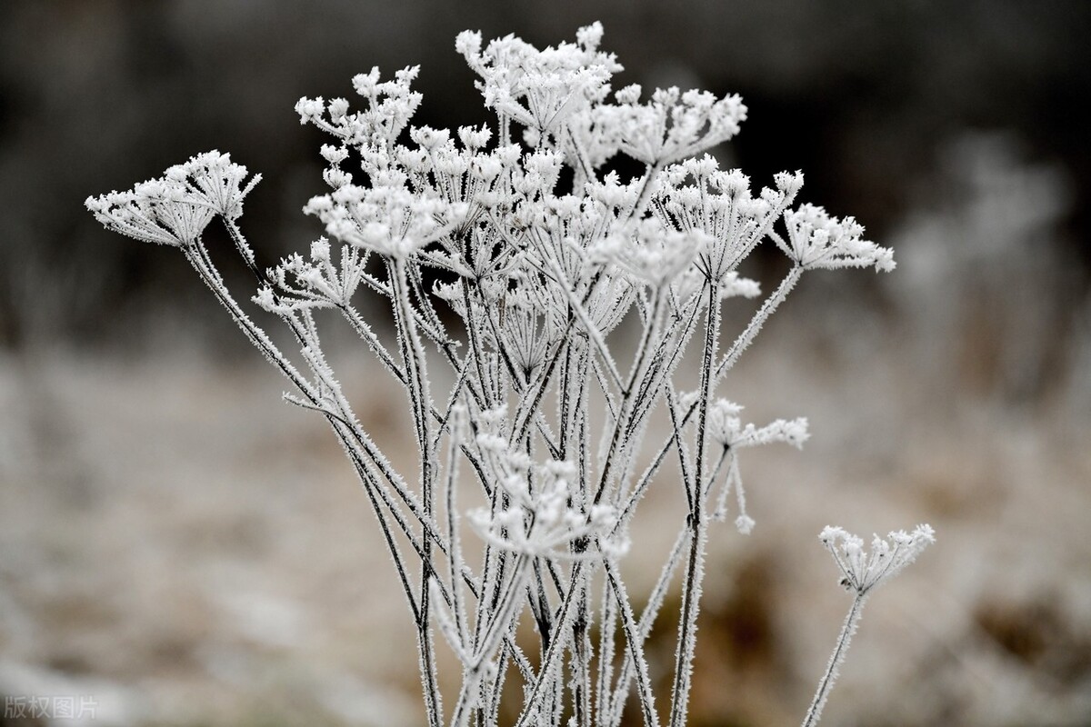 牙周炎治疗费用一览表,牙周炎治疗可以用医保吗