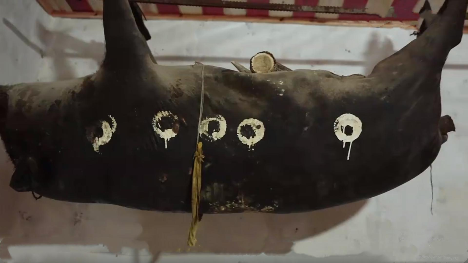 四川放几十年的臭猪肉,四川挂墙上的臭猪肉