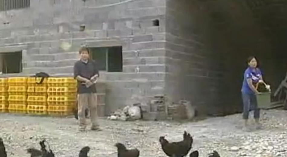 四川富翁刘文均：百万家产给前妻自己住进深山，养黑鸡年入400万