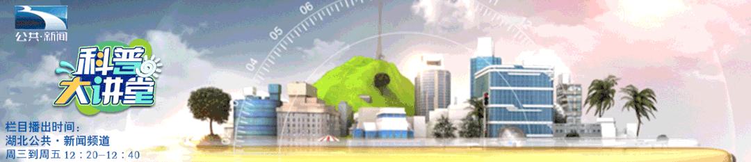 孩子长高要趁早抓住春季黄金期,孩子春季长高的秘诀你知道第几种